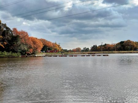 寒波到来！ 大安トラウトレイク